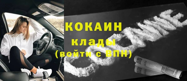 кокс Алексин