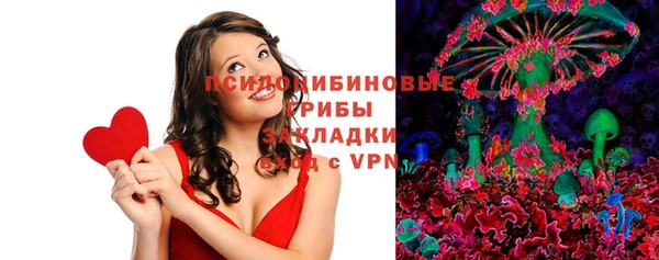 кокс Алексин